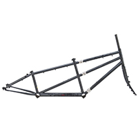 Thorn Raven Twin S+S Tandem Frames