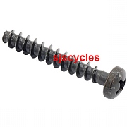 Rixen & Kaul Screw 25 mm for Twist Handlebar