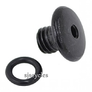 Shimano BL-M445 Bleed Screw & Seal - M5 x 4.6mm - Y8V198030