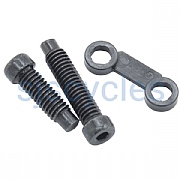 Shimano Ultegra RD-R8000 Stroke Adjusting Bolt & Plate - Y3E998060